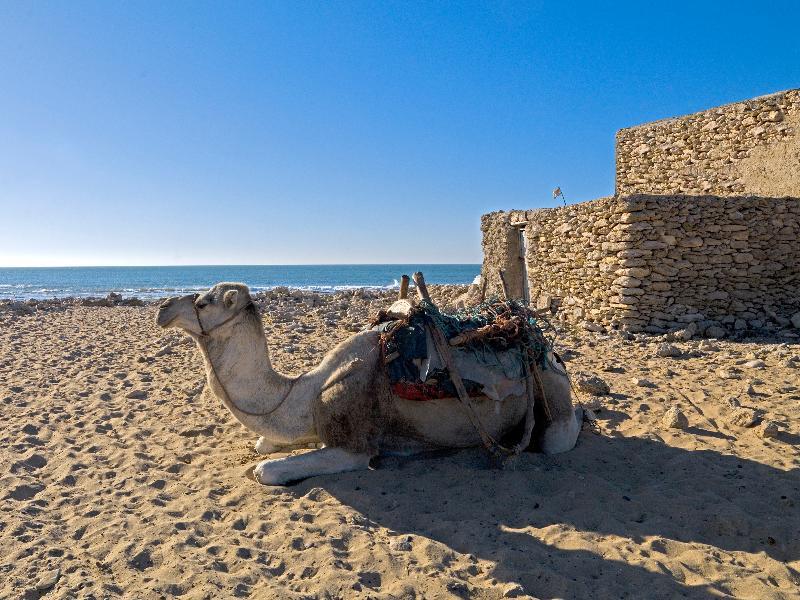 Villa Maroc As-Sawíra Exteriér fotografie